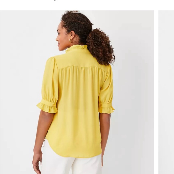 NWT Ann Taylor Ruffle Button Top Size Small - Picture 3 of 6